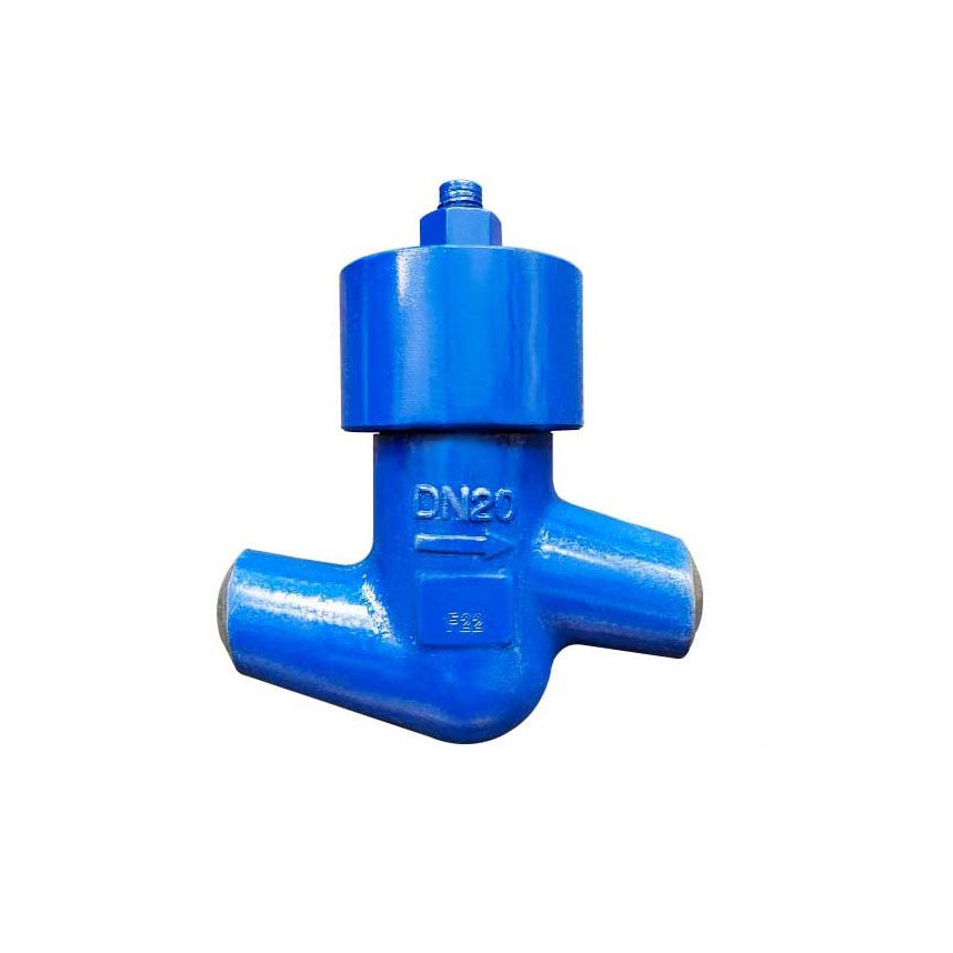 High Pressure Check Valve