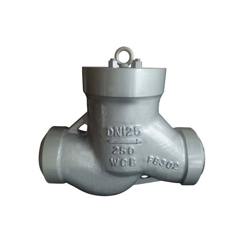 High Pressure Check Valve