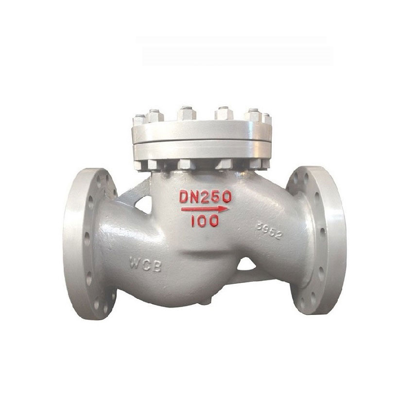 Lift Stainless Steel Check Valve