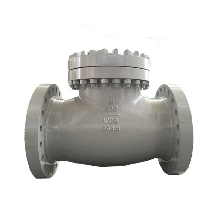 Cast Steel Check Valve