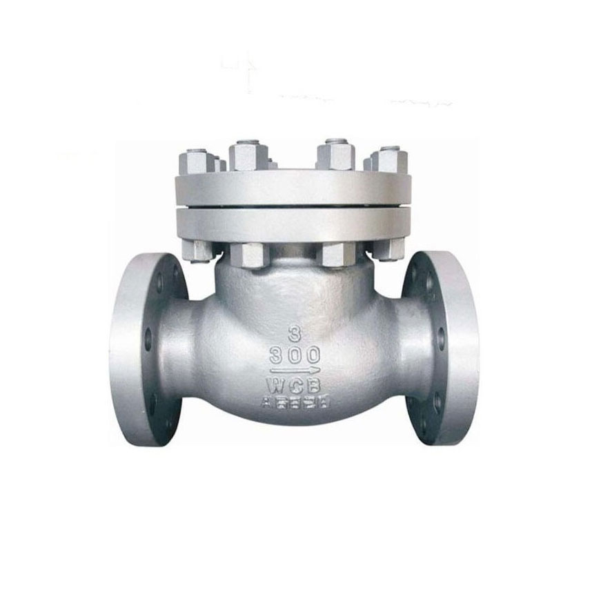 Cast Steel Check Valve