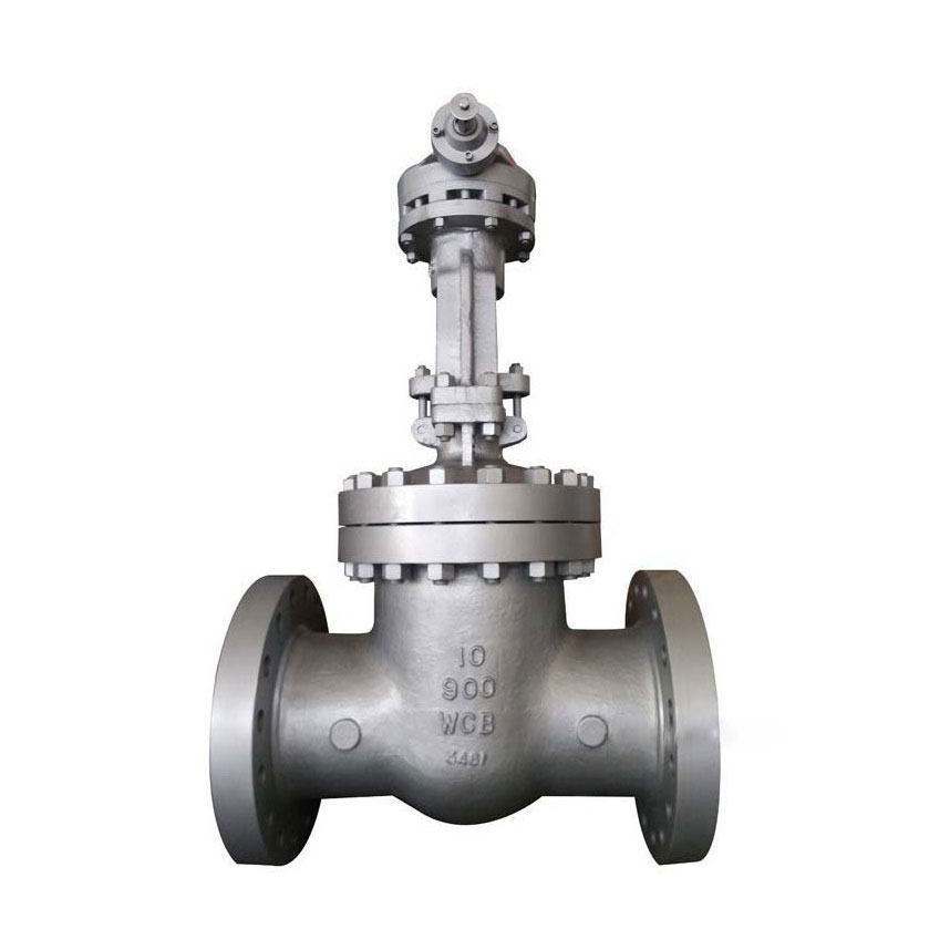 Cast Steel Gate Valve