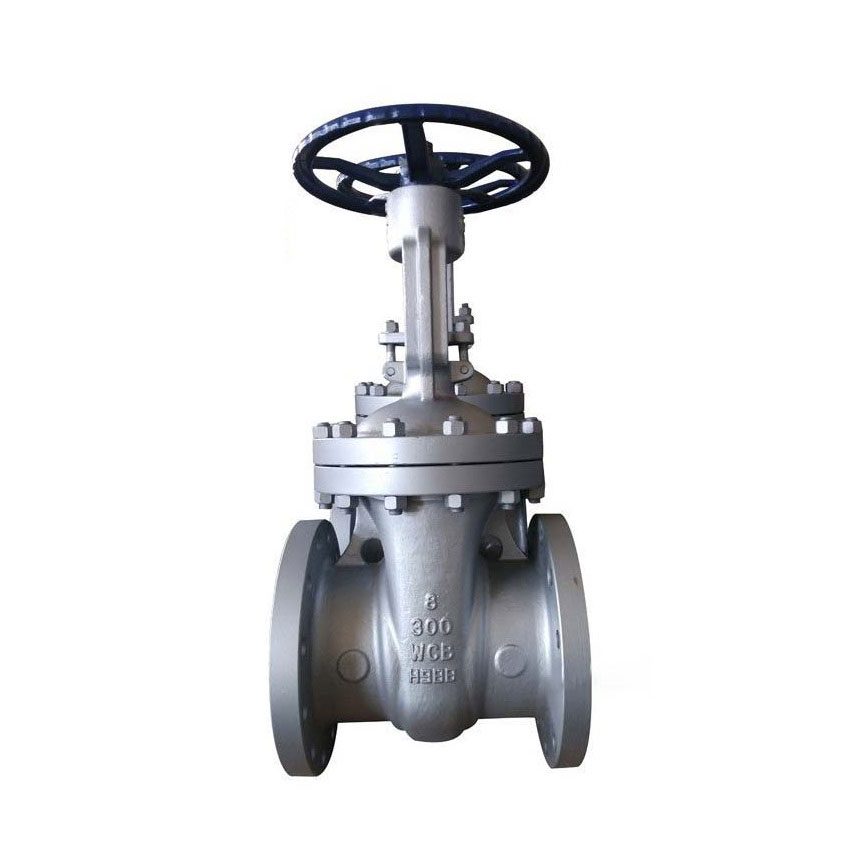 Cast Steel Gate Valve