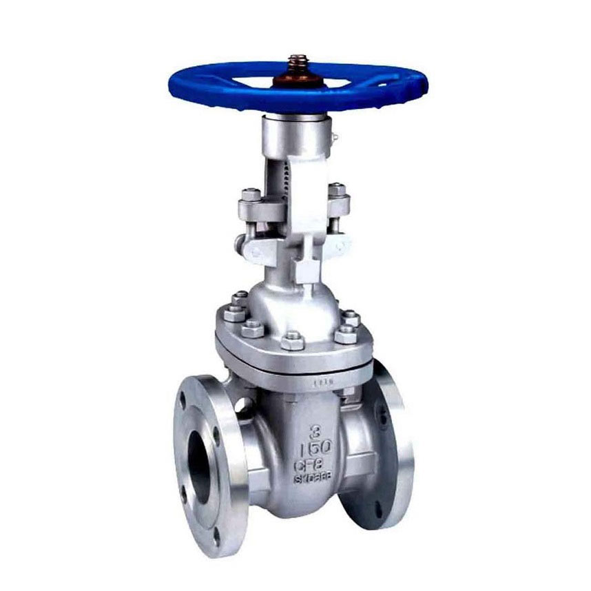 Stainless Steel Gate Valve