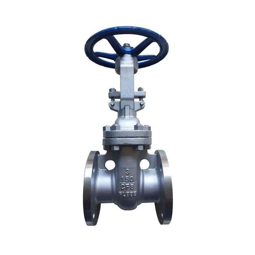 Stainless Steel Gate Valve