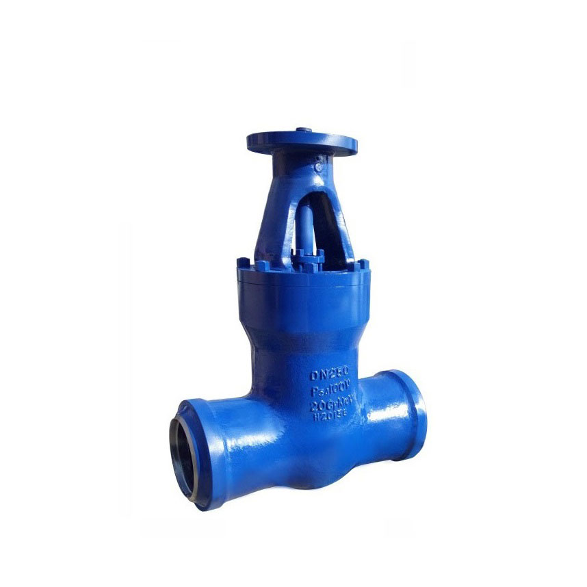 Electric Actuated Gate Valve